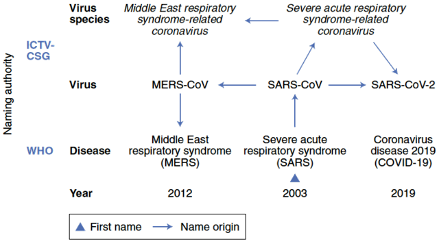 Naming SARS-CoV-2