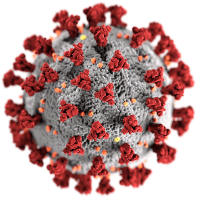 Virus