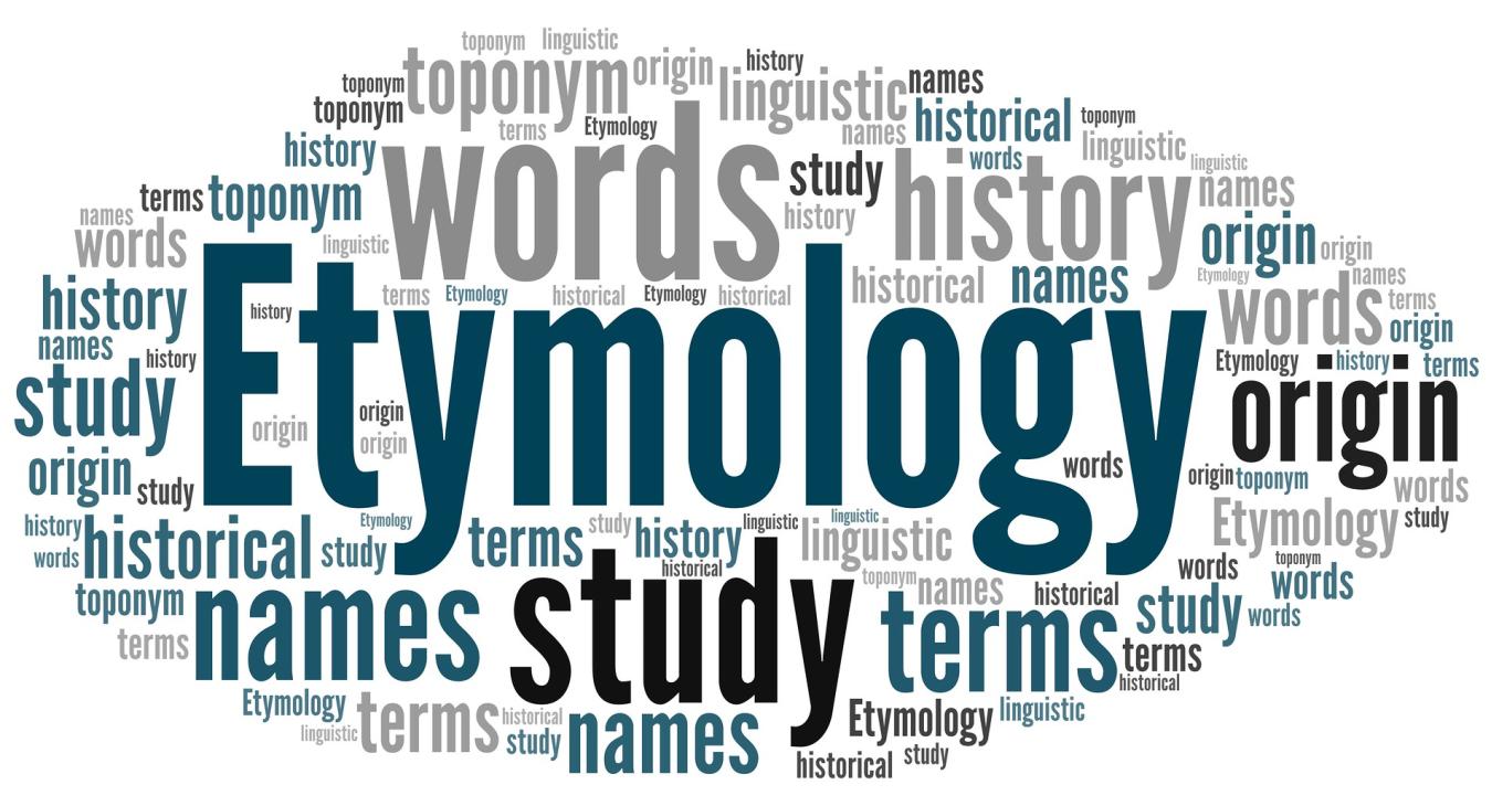 Etymology: https://www.flickr.com/photos/182229932@N07/48331511411