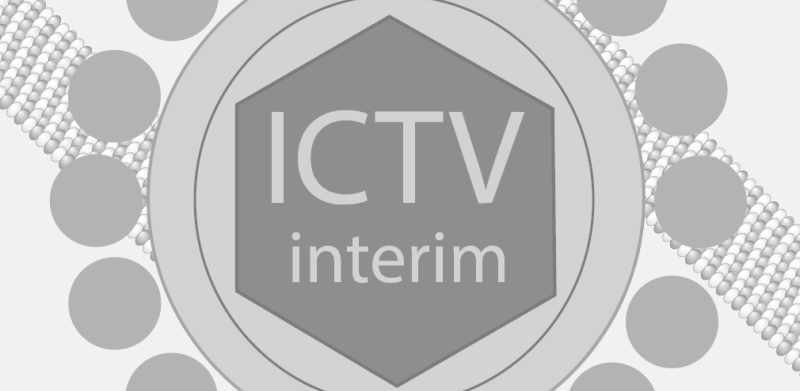 Interim page - teaser