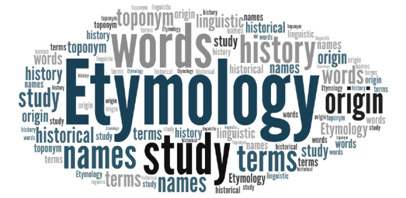 Etymology: https://www.flickr.com/photos/182229932@N07/48331511411